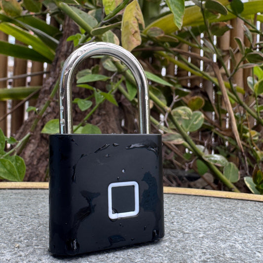 מנעול חכם טביעת אצבע - שחור